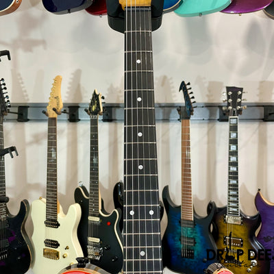 Schecter PT Classic Electric Guitar w/ Case - Inferno