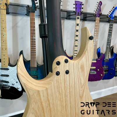 Schecter John Browne Tao-6 Electric Guitar