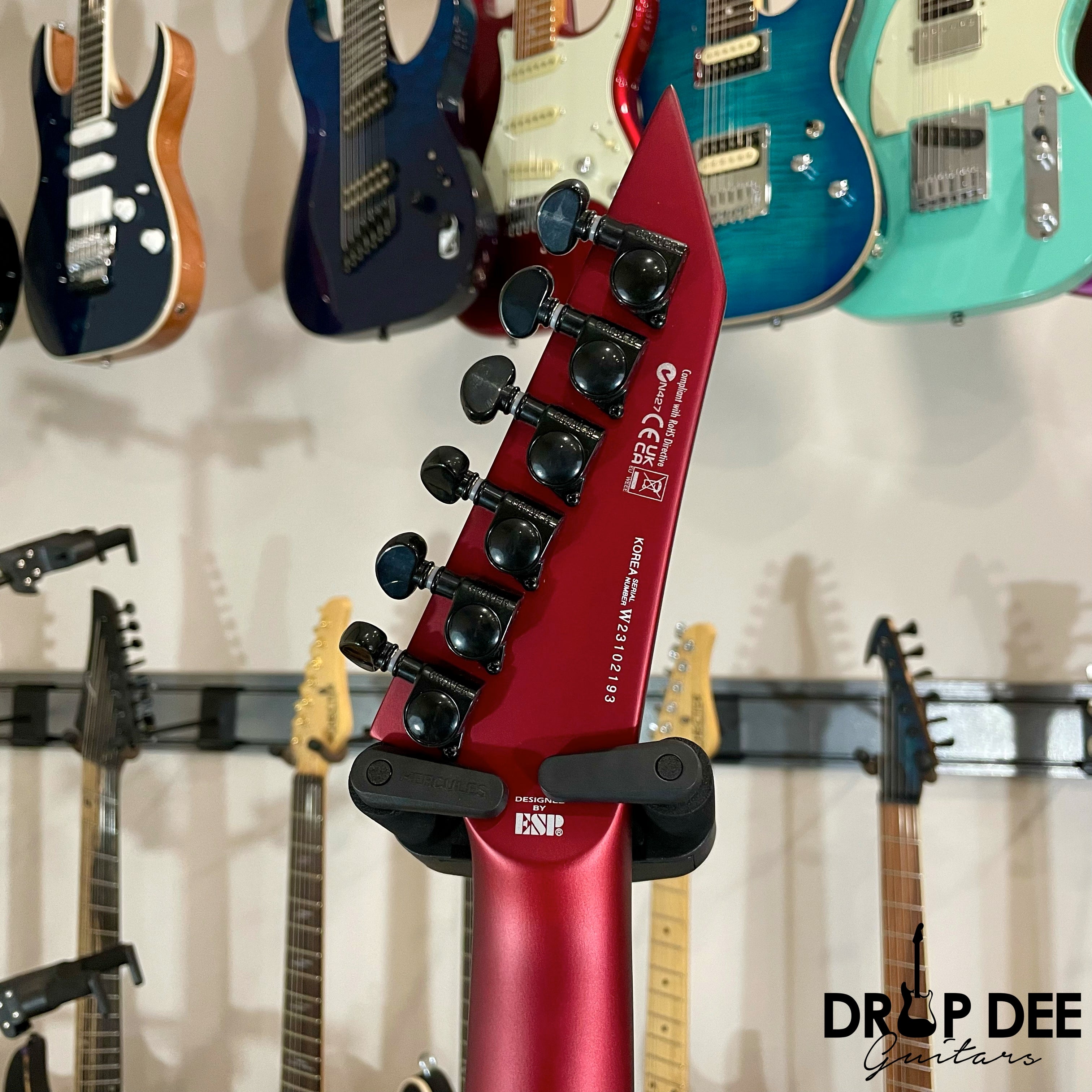 ESP LTD M-1000 Electric Guitar