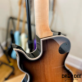 Wylde Audio Odin Grail Electric Guitar