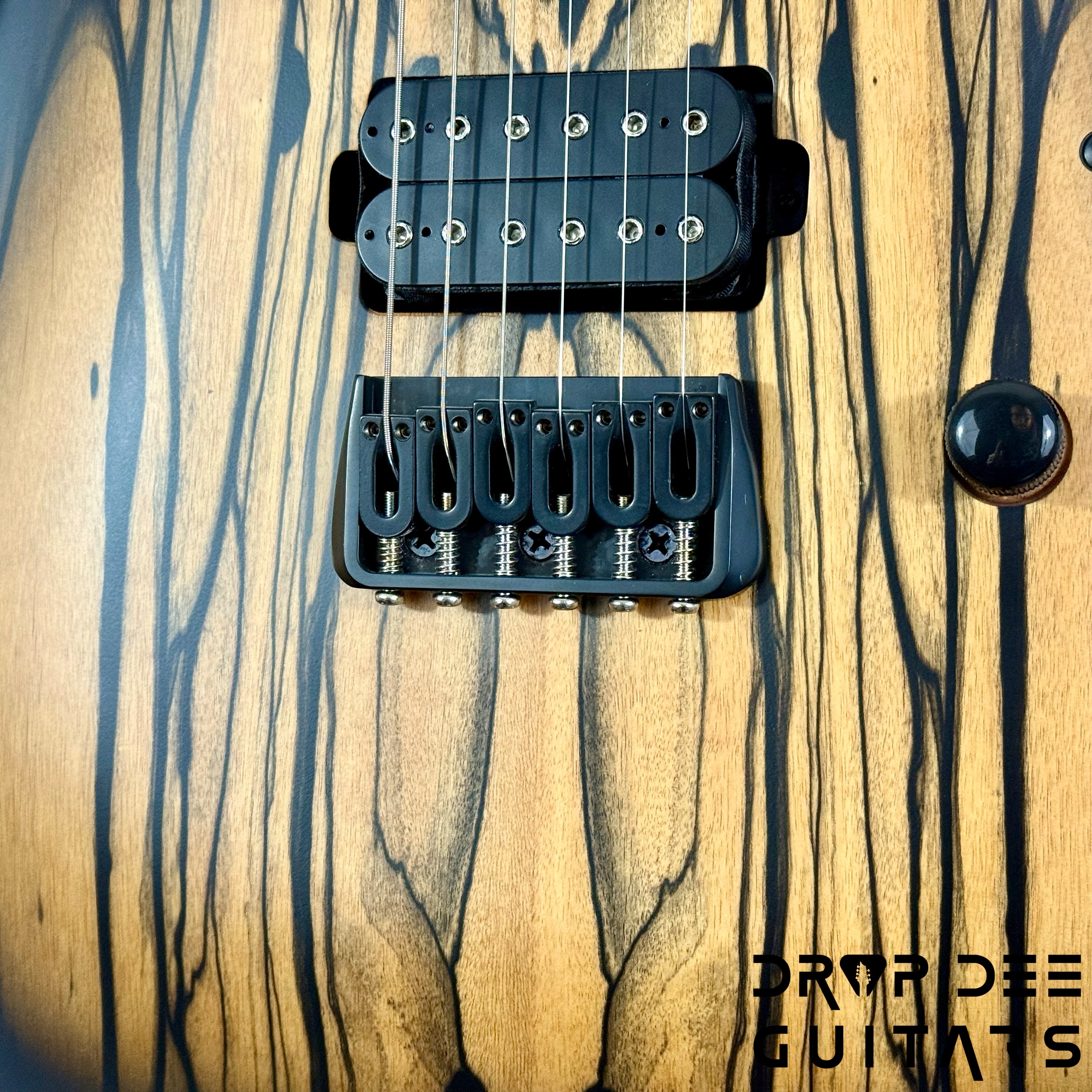 Schecter Diamond Series C-1 Pale Moon Electric Guitar - Natural Satin with Black Burst