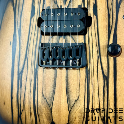 Schecter Diamond Series C-1 Pale Moon Electric Guitar - Natural Satin with Black Burst