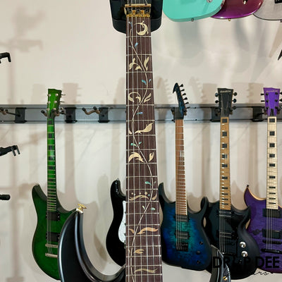 Ibanez Steve Vai Signature PIA3761XB Electric Guitar w/ Case