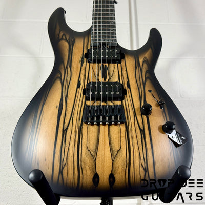 Schecter Diamond Series C-1 Pale Moon Electric Guitar - Natural Satin with Black Burst
