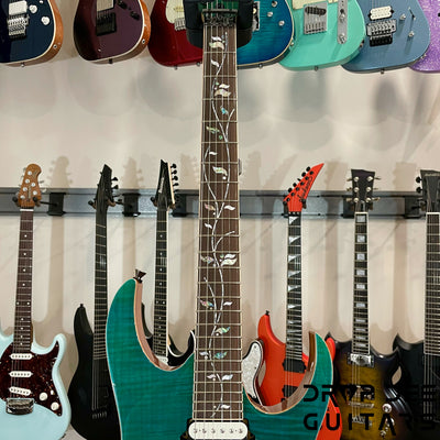 Ibanez J Custom RG8520 Electric Guitar w/ Case (9701)