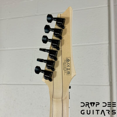 Ibanez Genesis Collection RG565R Electric Guitar