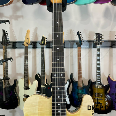 Schecter PT Classic Electric Guitar w/ Case - Caribbean Fade Burst
