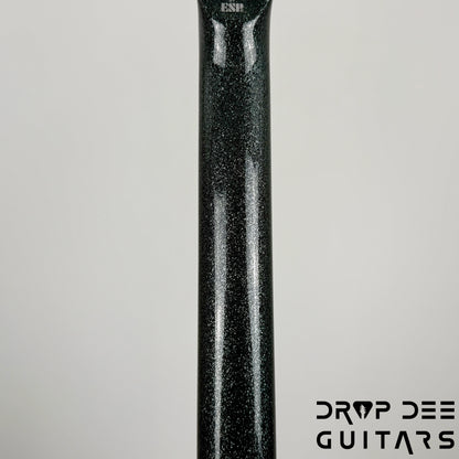 ESP LTD EC-1000 Electric Guitar - Granite Sparkle