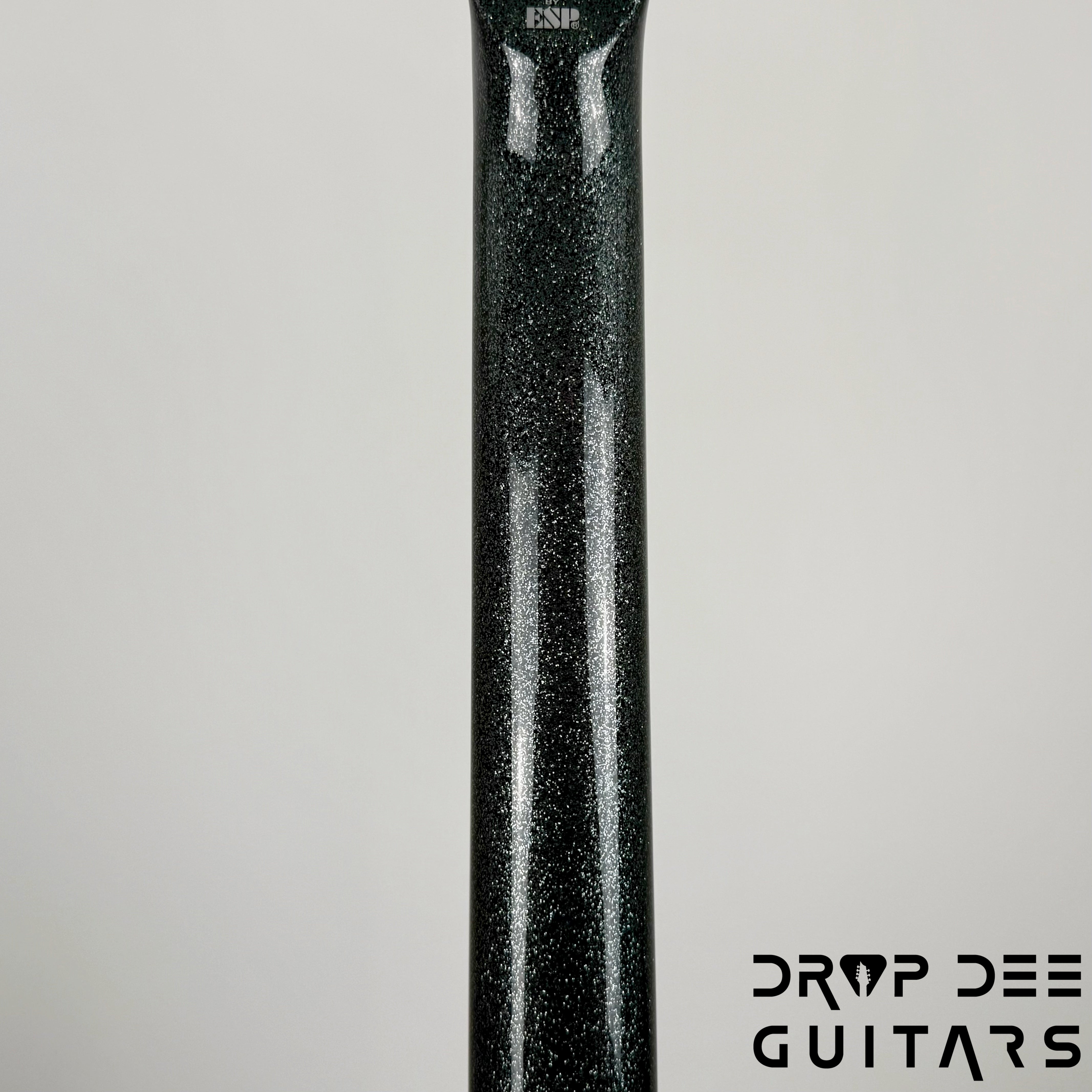 ESP LTD EC-1000 Electric Guitar - Granite Sparkle