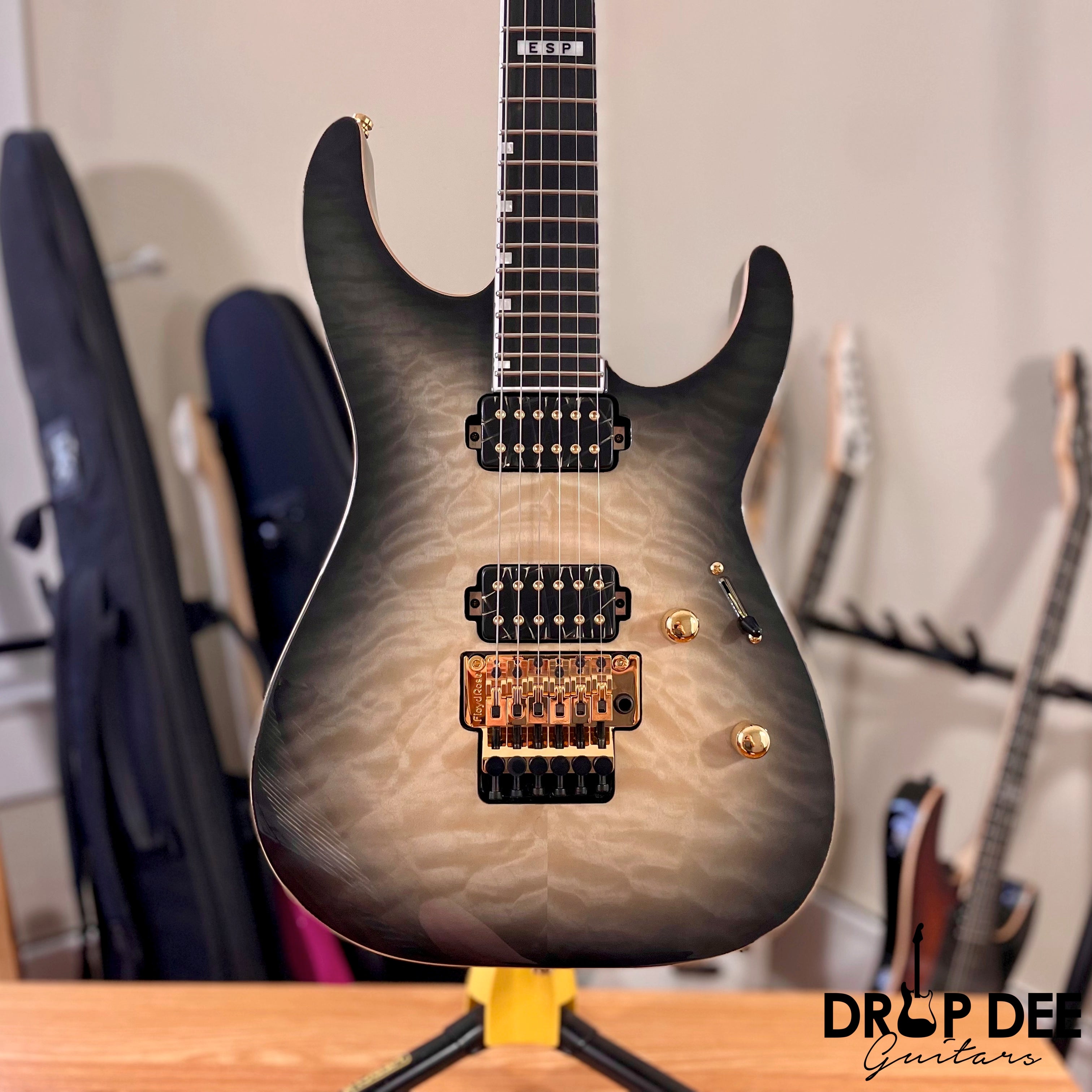 ESP E-II M-II Electric Guitar w/ Case