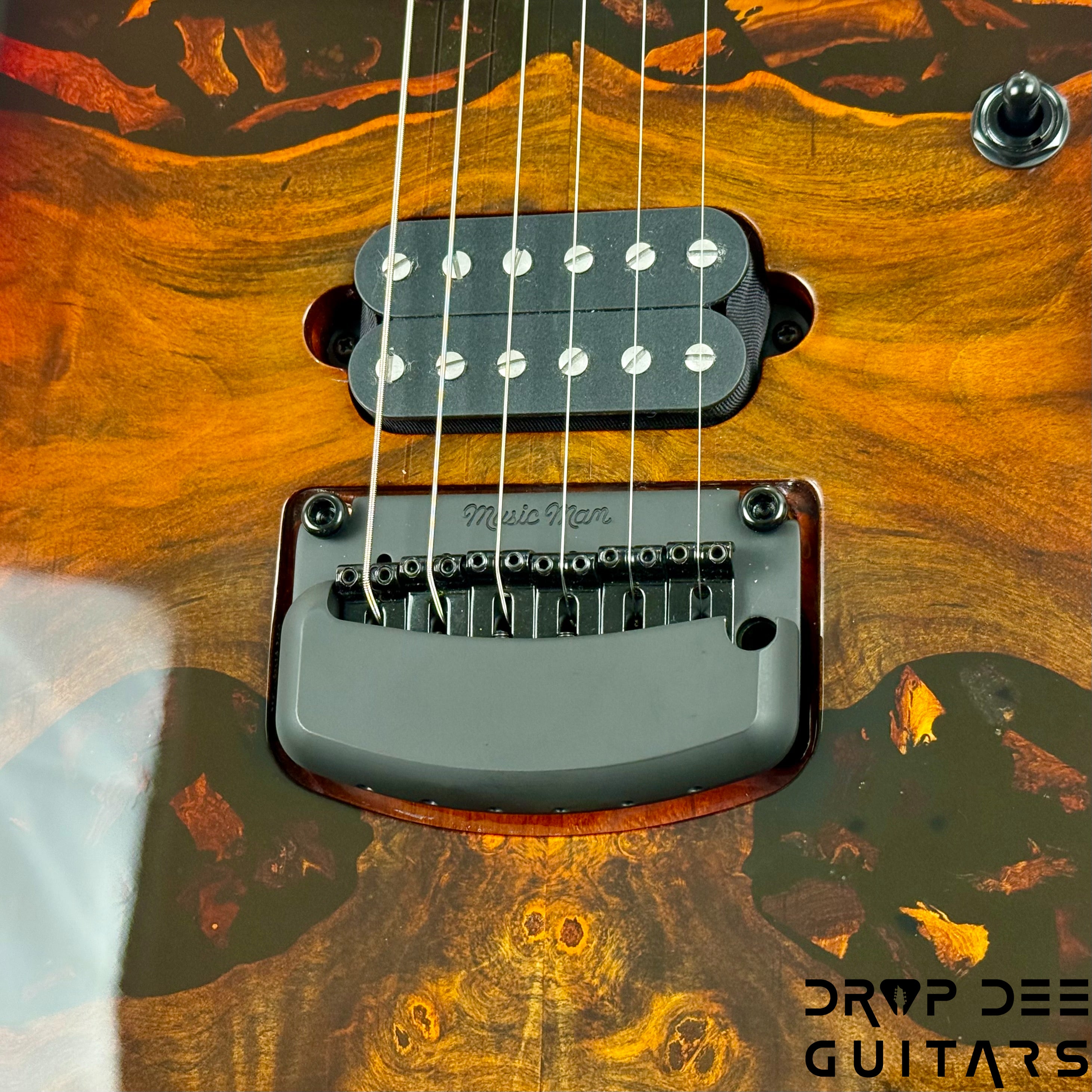 Ernie Ball Music Man Jason Richardson Cutlass HT Electric Guitar w/ Case - Death Mountain