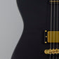 ESP LTD Alan Ashby Signature AA-1 Electric Guitar w/ Case