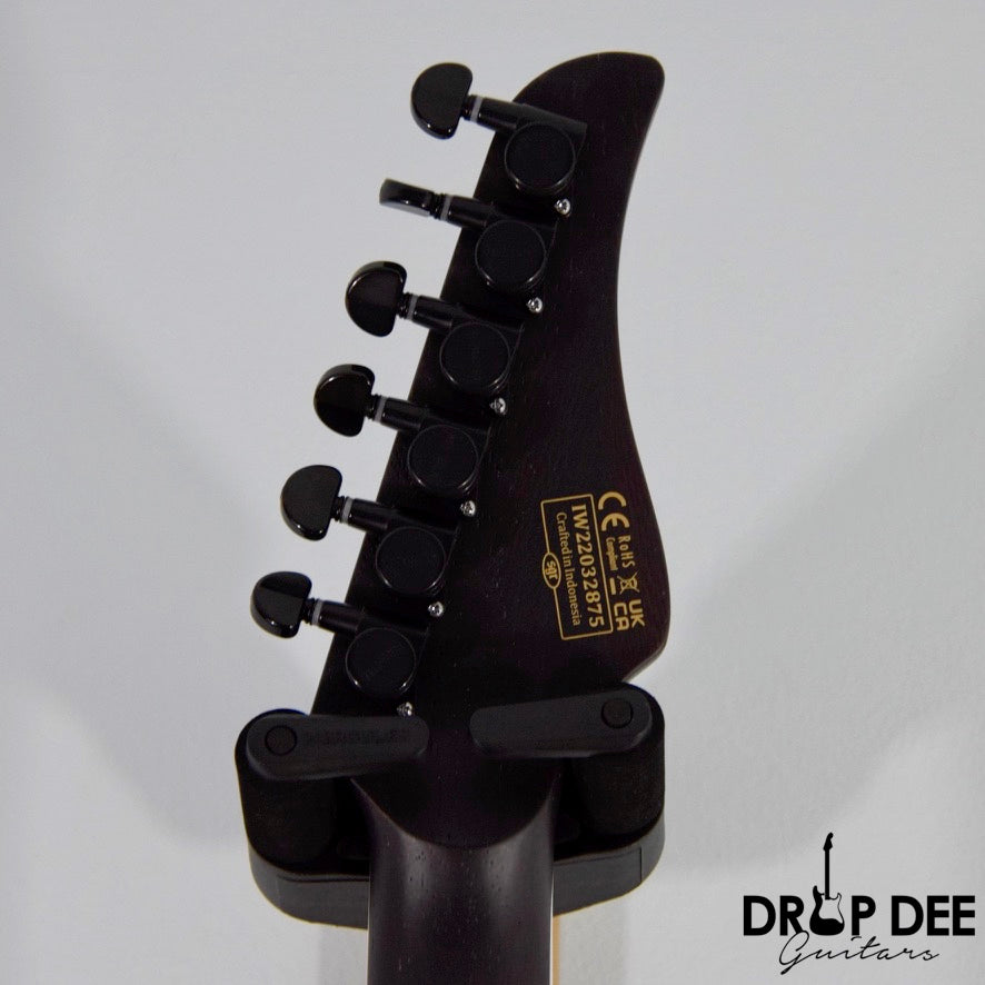 Schecter Reaper-6 Custom Electric Guitar