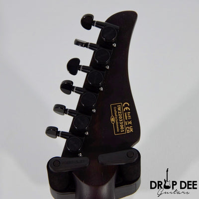 Schecter Reaper-6 Custom Electric Guitar