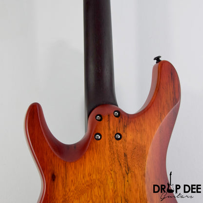 Schecter Sun Valley Super Shredder Exotic Hardtail Ziricote Electric Guitar