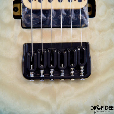 Cerberus Erebus Electric Guitar w/ Bag