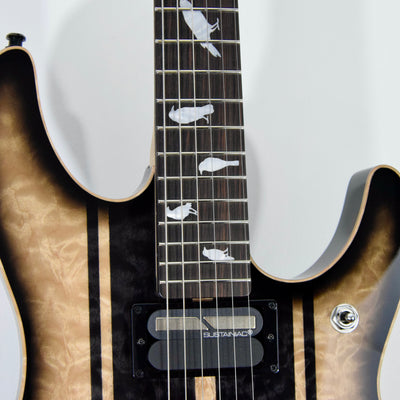 Schecter USA Custom Shop DJ Ashba Signature Electric Guitar w/ Case