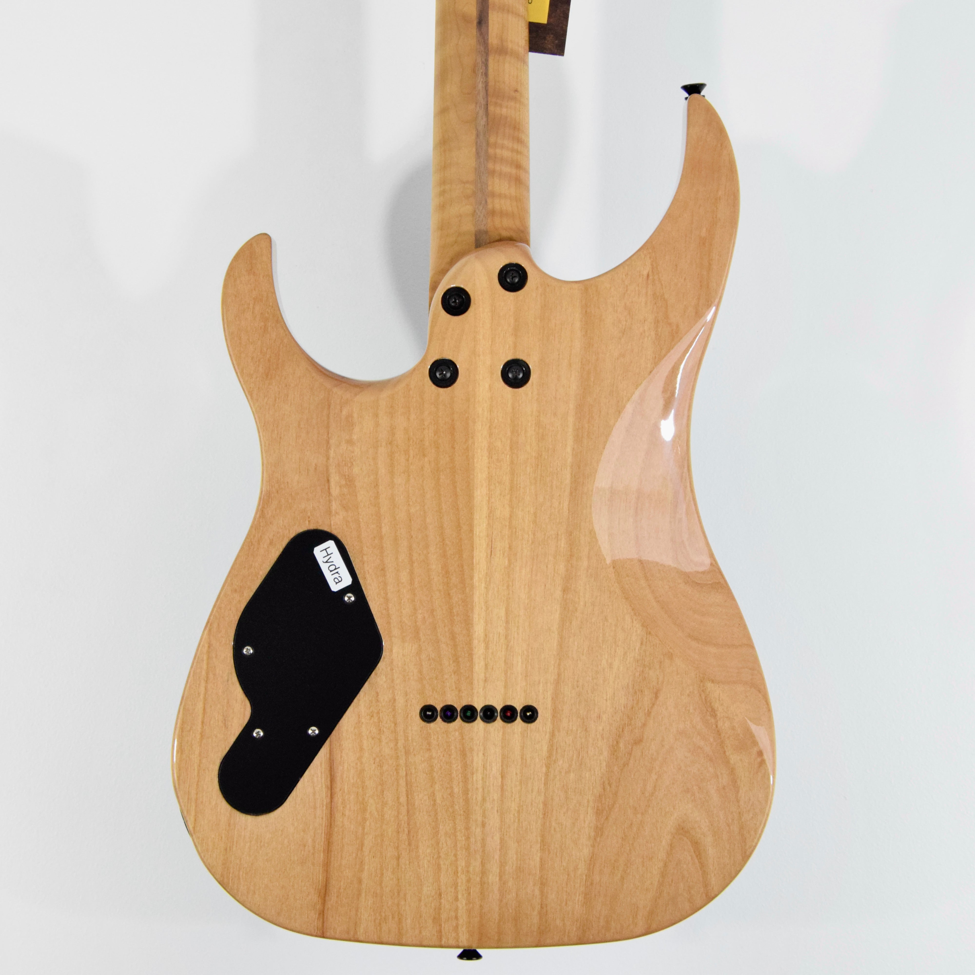 LsL Instruments XT4 DX "Hydra" Electric Guitar w/ Case