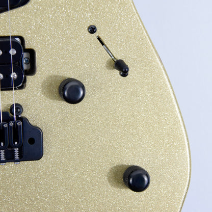 LsL Instruments XT4 "Oro" Electric Guitar w/ Case