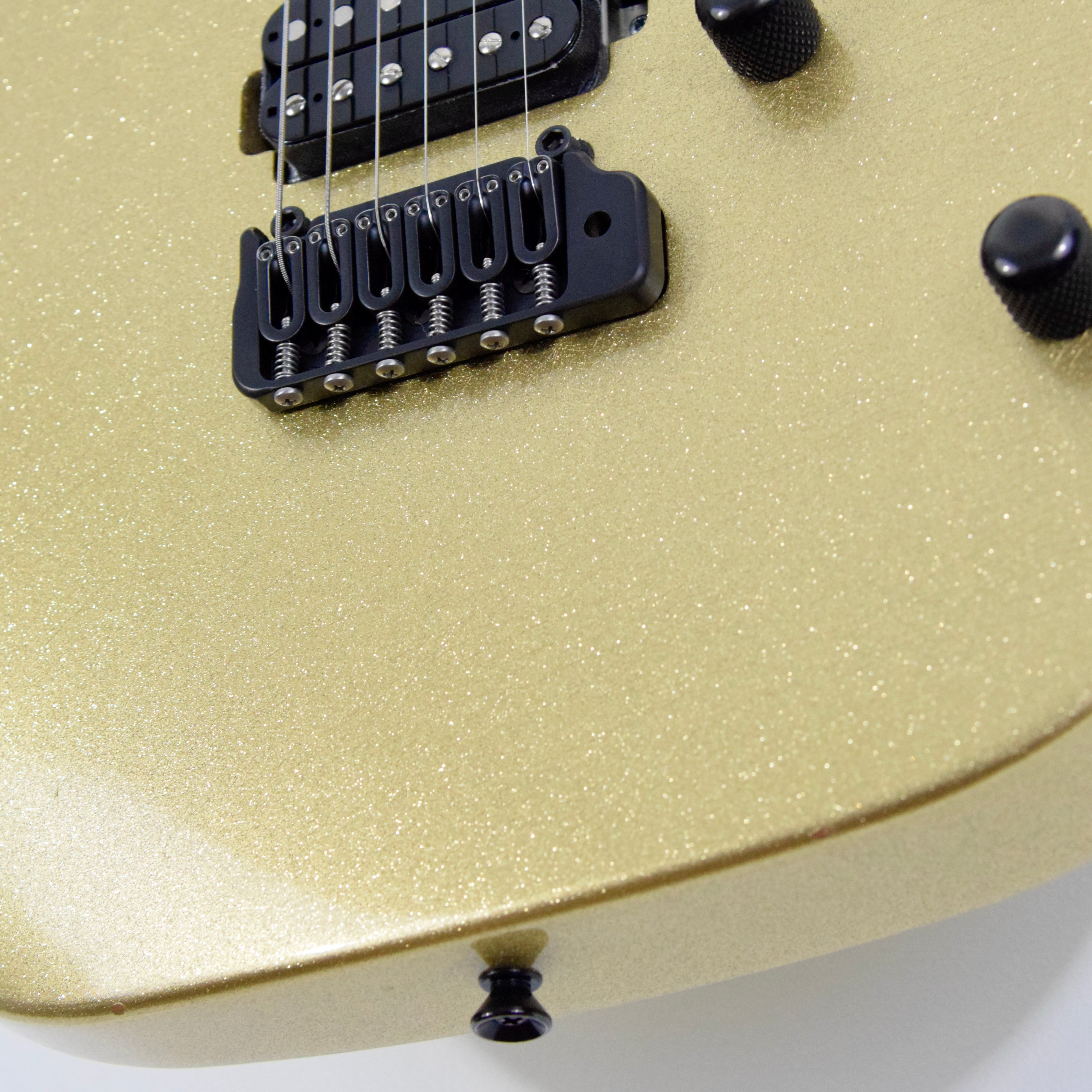 LsL Instruments XT4 "Oro" Electric Guitar w/ Case