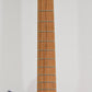 Schecter Nick Johnston Traditional Electric Guitar
