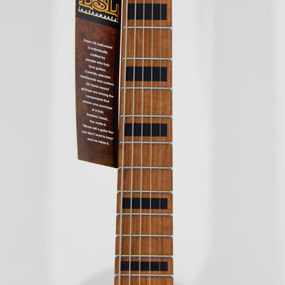 LsL Instruments Adam Christianson Signature Baritone "Lindsay" Electric Guitar w/ Case