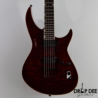 ESP LTD H3-1000 Electric Guitar