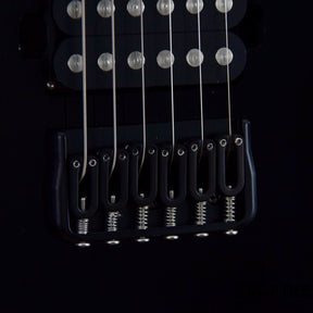 Schecter Reaper-6 Custom Electric Guitar