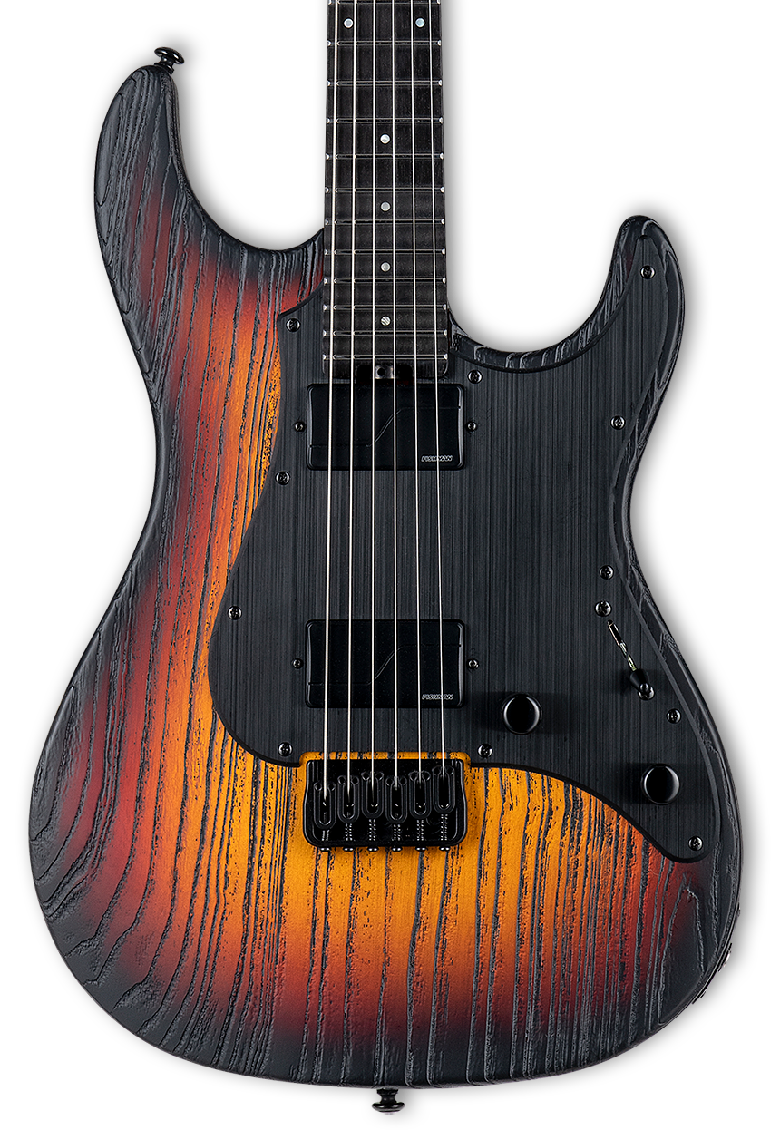 ESP LTD SN-1000HT Electric Guitar